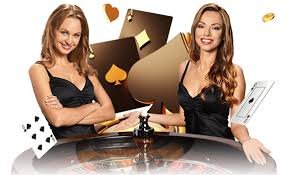 289bet